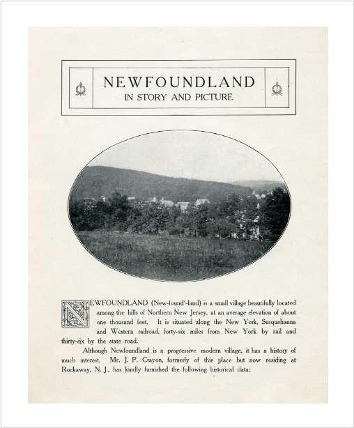 newfoundlandnjidylease