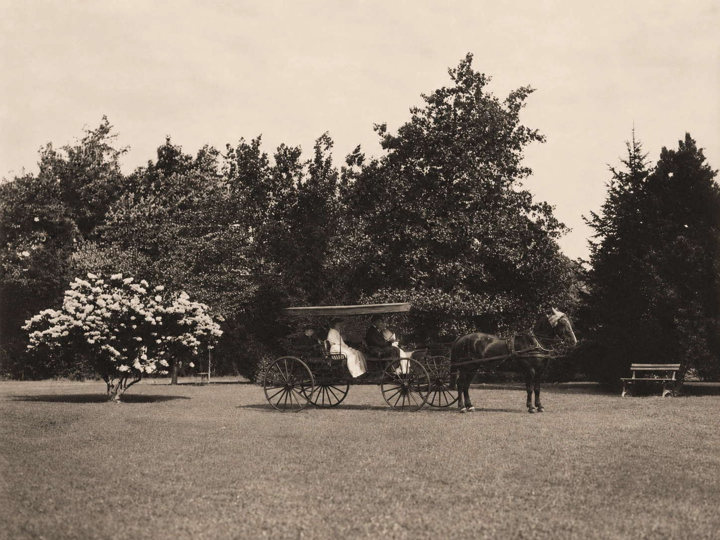 Horse-drawn carriage crossing the Idylease grounds in 1910