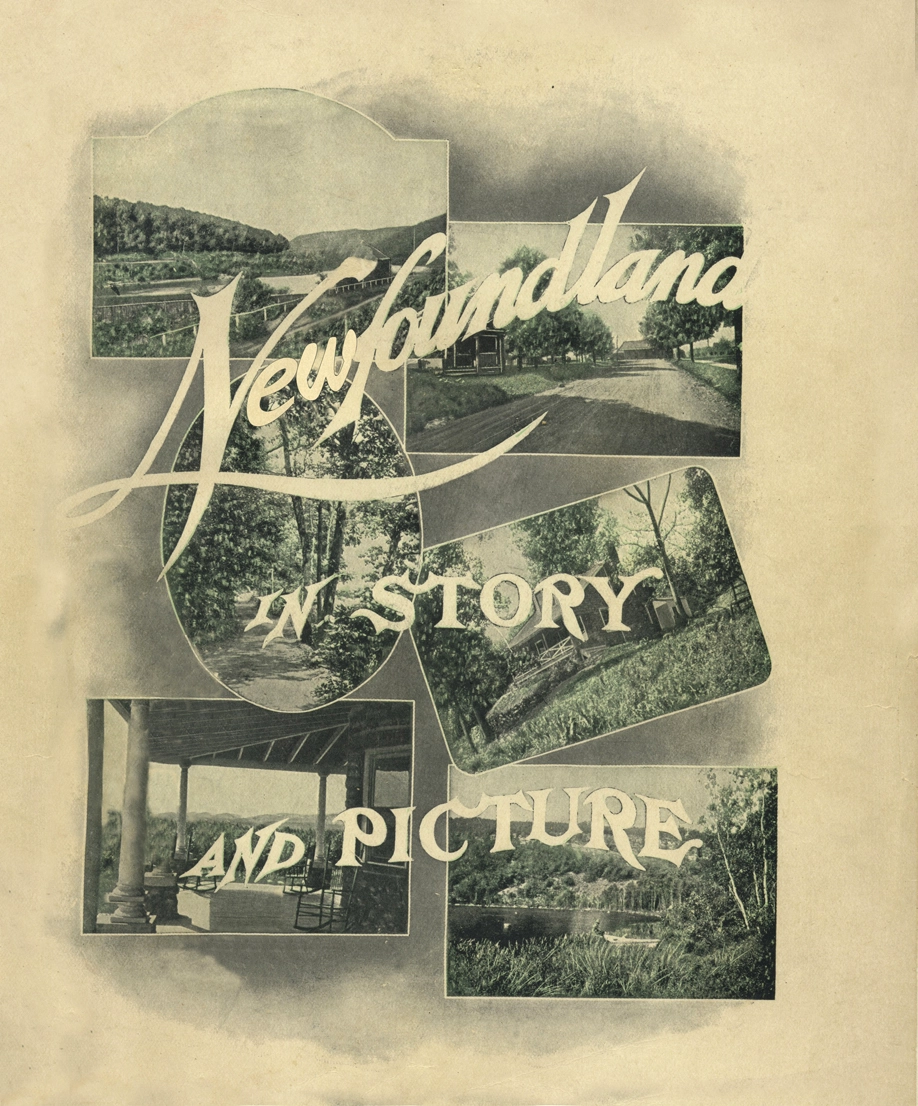 Cover of Newfoundland in Story and Picture